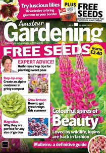 29th April 2022 
                issue 29th April 2022