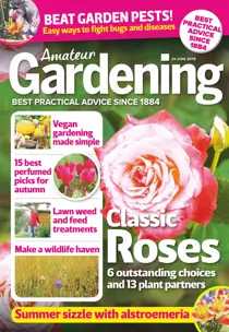 29th June 2019 
                issue 29th June 2019