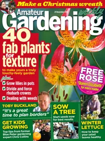 29th November 2014 
                issue 29th November 2014