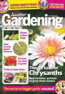 29th September 2018 
                issue 29th September 2018