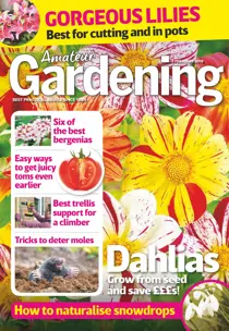 2nd February 2019 
                issue 2nd February 2019