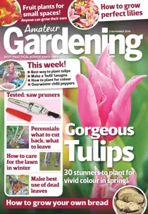 2nd November 2019 
                issue 2nd November 2019