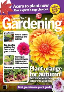 3-Jul-2021 
                issue 3-Jul-2021