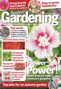 30th November 2019 
                issue 30th November 2019