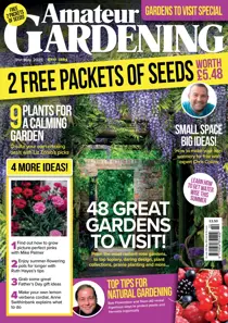 31-May-25 
                issue 31-May-25
