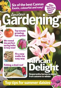 31st August 2019 
                issue 31st August 2019