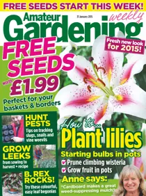 31st January 2015 
                issue 31st January 2015