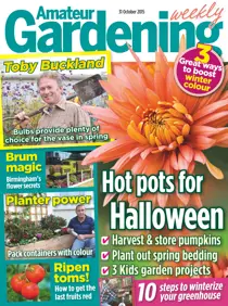 31st October 2015 
                issue 31st October 2015