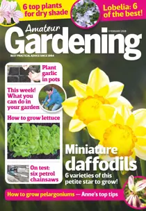 3rd February 2018 
                issue 3rd February 2018