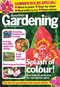 3rd March 2018 
                issue 3rd March 2018