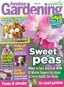 3rd October 2015 
                issue 3rd October 2015