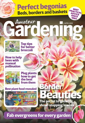 Amateur Gardening Preview