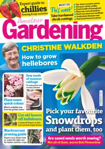 4th February 2017 
                issue 4th February 2017