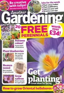 4th November 2017 
                issue 4th November 2017