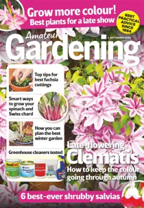 5-Sep-2020 
                issue 5-Sep-2020