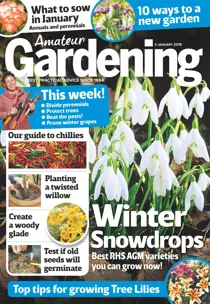 5th January 2019 
                issue 5th January 2019