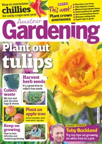 5th November 2016 
                issue 5th November 2016