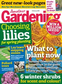 6th February 2016 
                issue 6th February 2016