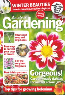 6th July 2019 
                issue 6th July 2019