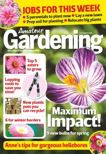 6th October 2018 
                issue 6th October 2018