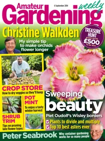 6th September 2014 
                issue 6th September 2014