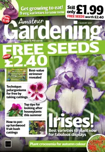 7-Aug-2021 
                issue 7-Aug-2021