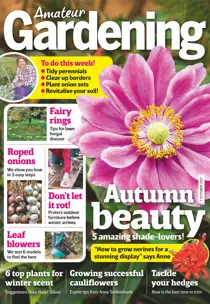 7th October 2017 
                issue 7th October 2017