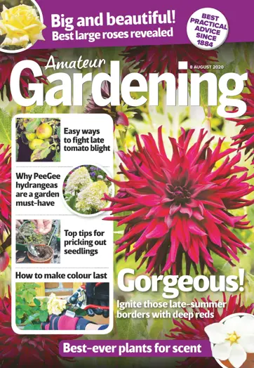 Amateur Gardening Preview