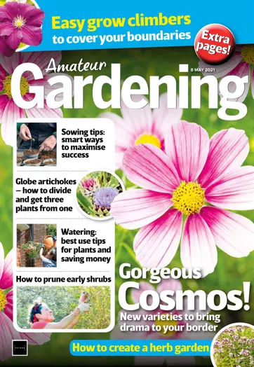 Amateur Gardening Preview