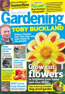 8th April 2017 
                issue 8th April 2017