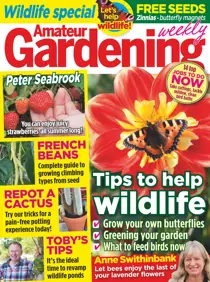 8th August 2015 
                issue 8th August 2015