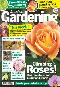 8th December 2018 
                issue 8th December 2018