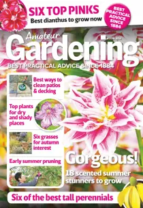8th June 2019 
                issue 8th June 2019