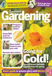 8th September 2018 
                issue 8th September 2018