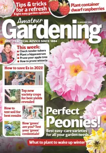 9-Jan-2021 
                issue 9-Jan-2021