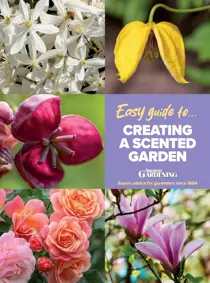 Amateur Gardening 
                issue Amateur Gardening Easy Guide #14