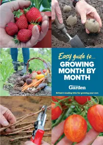 Amateur Gardening 
                issue Easy Guides to #7