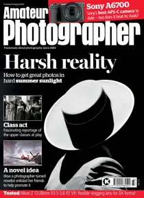 August 08 2023 
                issue August 08 2023