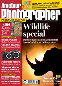 August 29 2023 
                issue August 29 2023