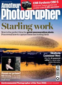 December 13th 2022 
                issue December 13th 2022