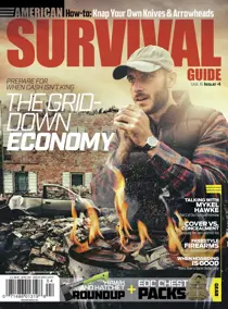 April 2017 
                issue April 2017
