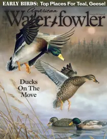 American Waterfowler 
                issue Vol XV, Issue III