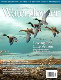 Volume II Issue VI 
                issue Volume II Issue VI