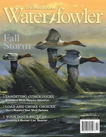 Volume VII, Issue IV 
                issue Volume VII, Issue IV