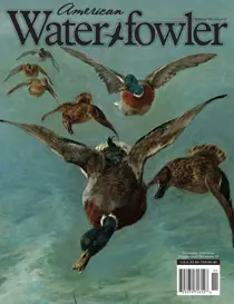 Volume VII, Issue V 
                issue Volume VII, Issue V