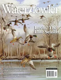 Volume VII, Issue VI 
                issue Volume VII, Issue VI