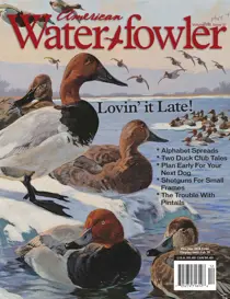 Volume VIII, Issue VI  
                issue Volume VIII, Issue VI 