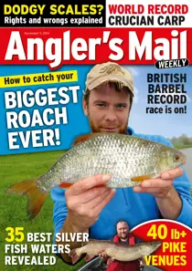 11th November 2014 
                issue 11th November 2014