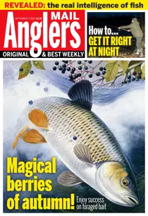 17th September 2019 
                issue 17th September 2019