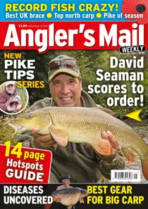 4th November 2014 
                issue 4th November 2014